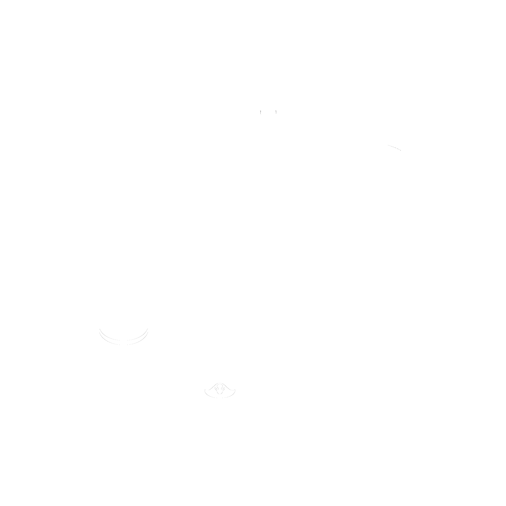 F for Respect FAFO