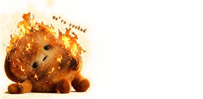 Sad toasty FAFO